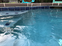 Eden Swimming Pools & Landscaping