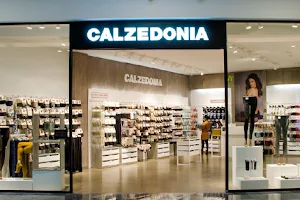 Calzedonia image