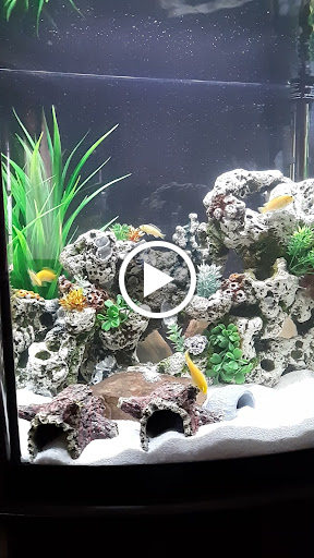 Pet Supply Store «Petco Animal Supplies», reviews and photos, 12801 Chenal Pkwy, Little Rock, AR 72211, USA