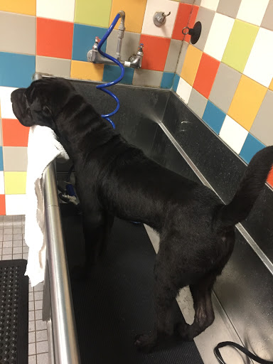 Pet Supply Store «Unleashed by Petco», reviews and photos, 1402 Wilshire Blvd, Santa Monica, CA 90403, USA