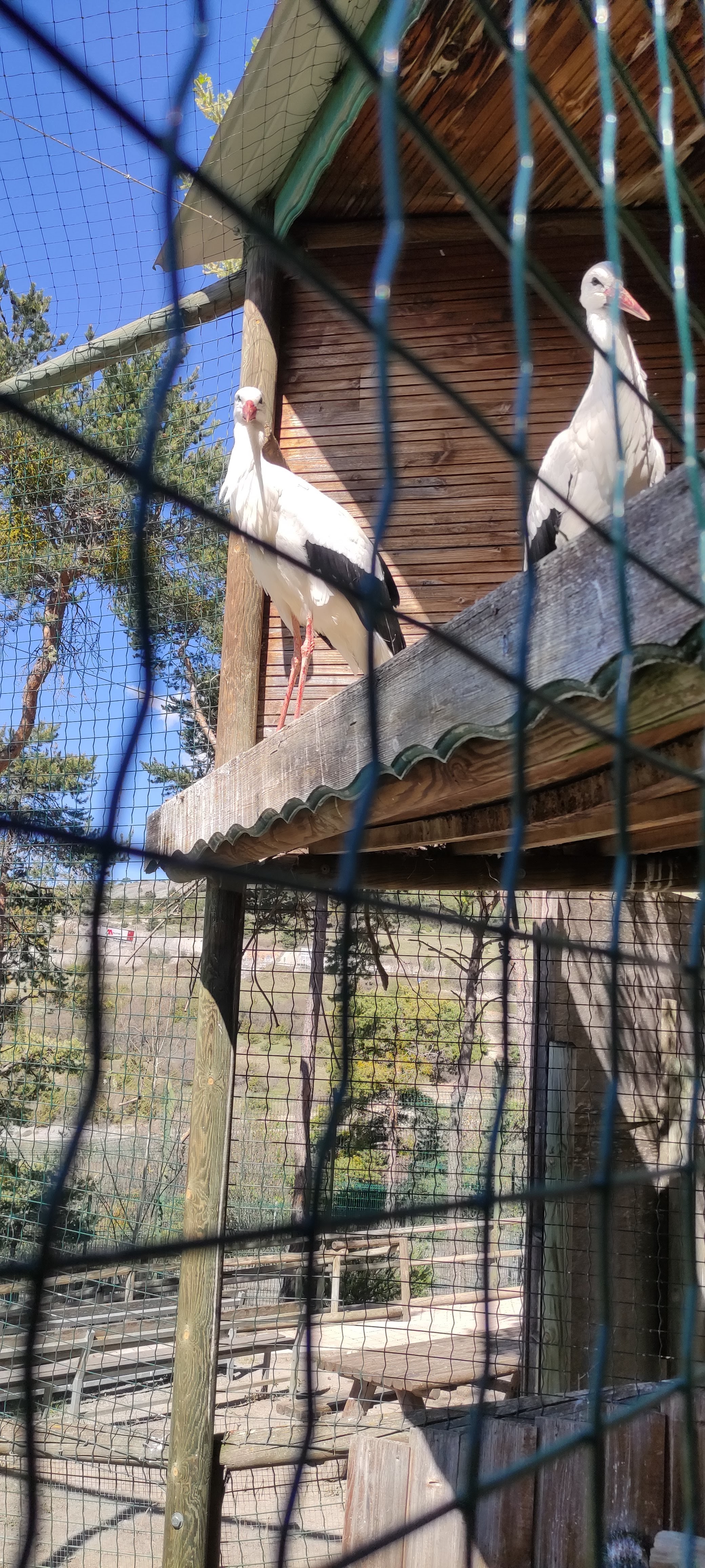 Photo n° 9 de l'avis de Alexia.a fait le 20/04/2023 à 07:36