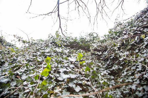 Park «Dellwood Park», reviews and photos, IL-171 & Woods Dr, Lockport, IL 60441, USA