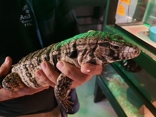 Pet Store «Animart Pets», reviews and photos, 2813 Veterans Memorial Hwy SW, Austell, GA 30168, USA