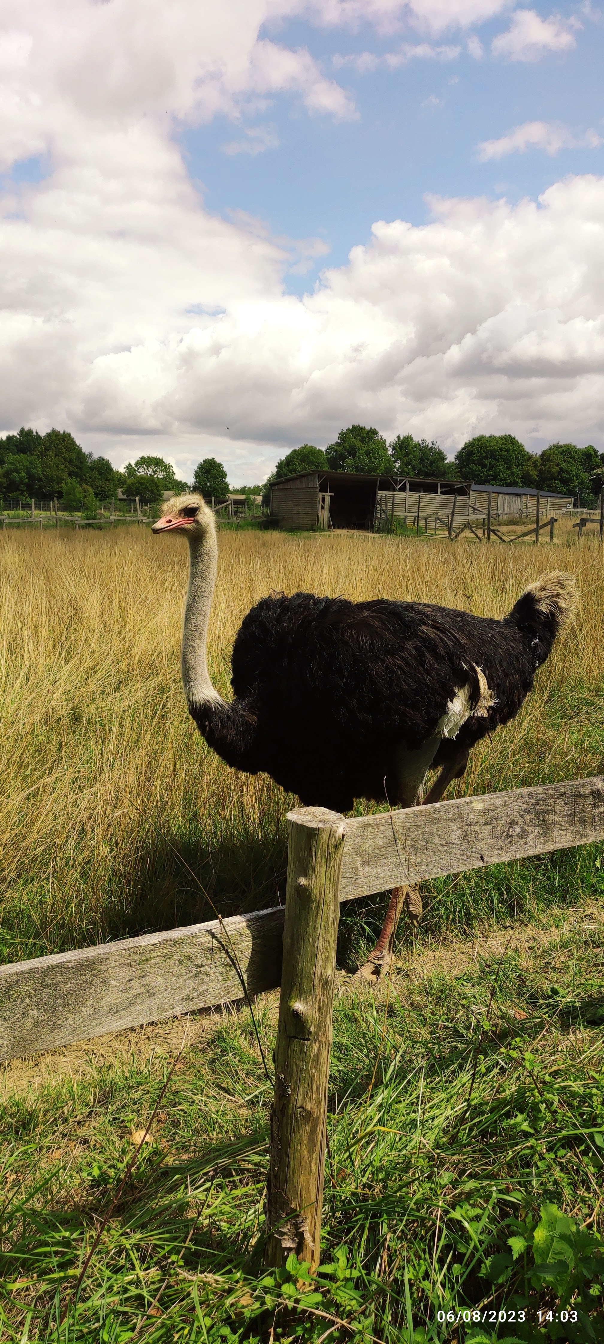 Photo n° 2 de l'avis de S.. fait le 08/08/2023 à 16:08
