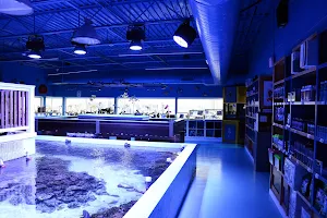 Sanctuary Aquatics image