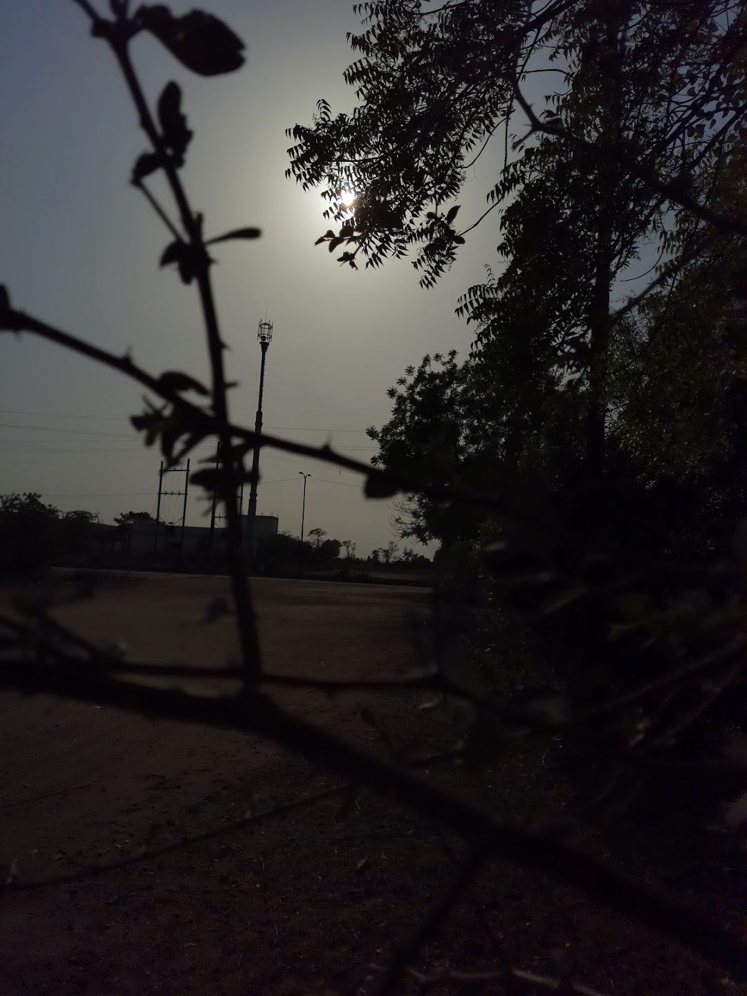 सेवा आश्रम