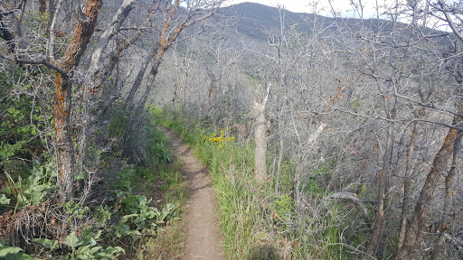 Private Golf Course «Jeremy Ranch Golf & Country Club», reviews and photos, 8770 Jeremy Rd, Park City, UT 84098, USA