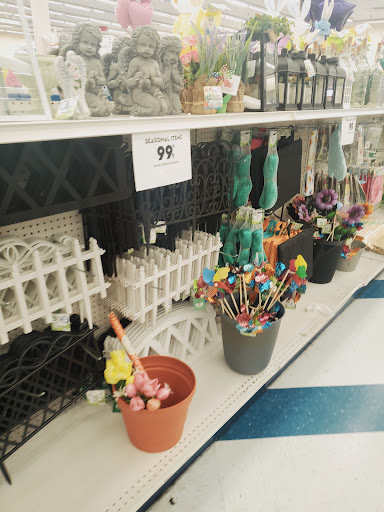 Discount Store «99 Cents Only Stores», reviews and photos, 20165 N 67th Ave, Glendale, AZ 85308, USA