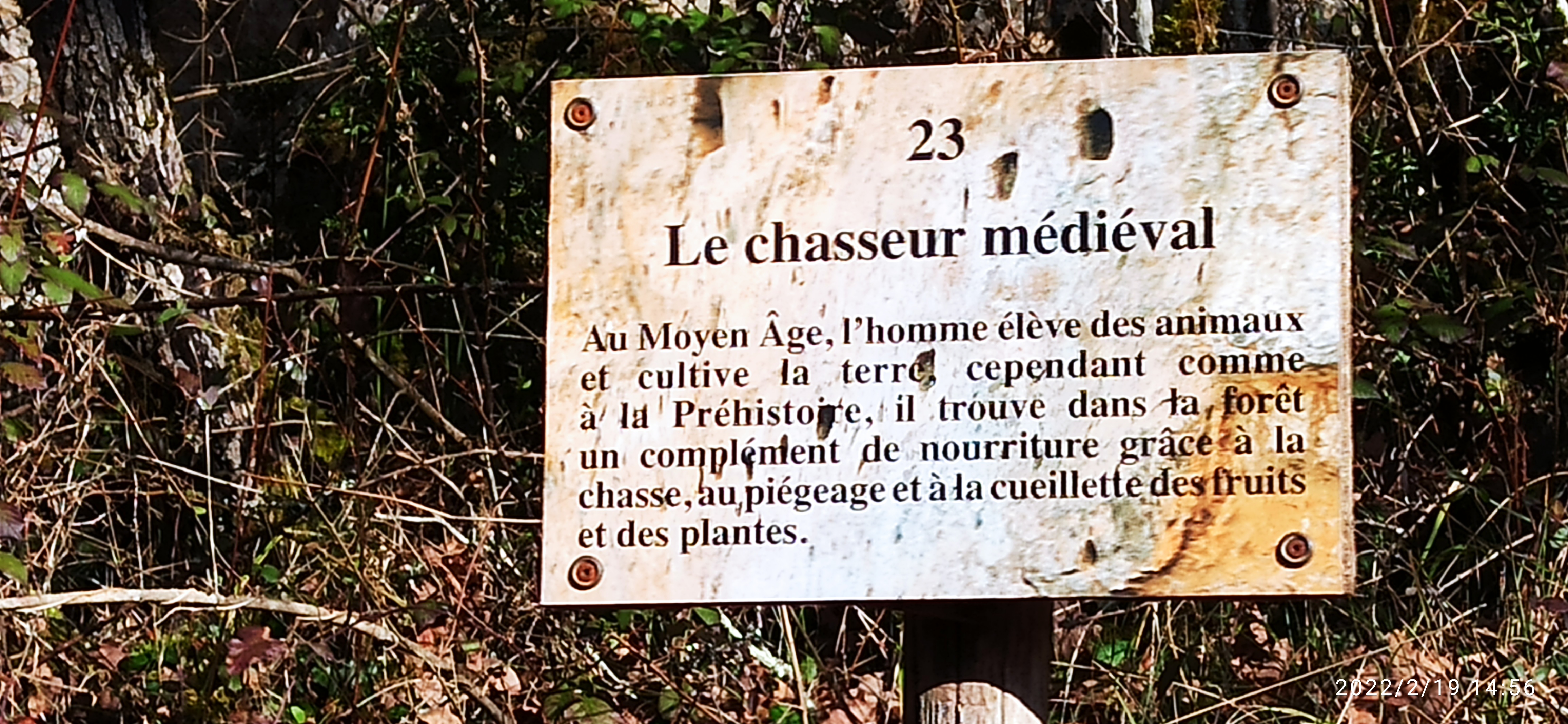 Photo n° 2 de l'avis de A. fait le 22/02/2022 à 15:01