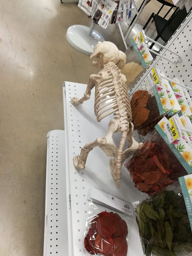 Fabric Store «Jo-Ann Fabrics and Crafts», reviews and photos, 555 W Roosevelt Rd, Chicago, IL 60607, USA