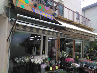 ポップマート 芦屋店