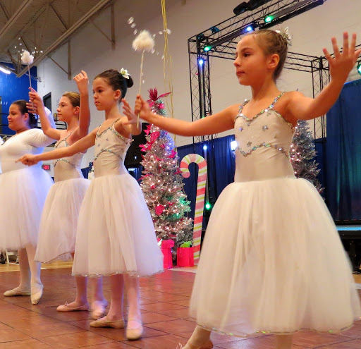 Dance School «Dance and Circus Arts of Tampa Bay», reviews and photos, 1490 N Belcher Rd, Clearwater, FL 33765, USA