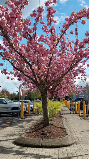 Grocery Store «Albertsons», reviews and photos, 25691 SE Stark St, Troutdale, OR 97060, USA
