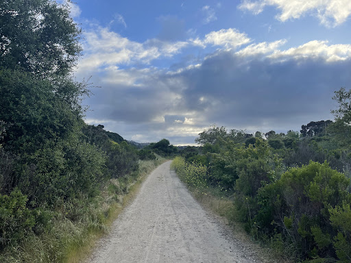 Rose Canyon Trail Head