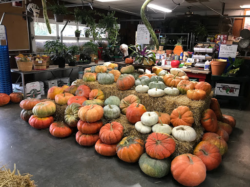 Florist «Sunshine Flowers», reviews and photos, 4509 Rainbow Blvd, Kansas City, KS 66103, USA