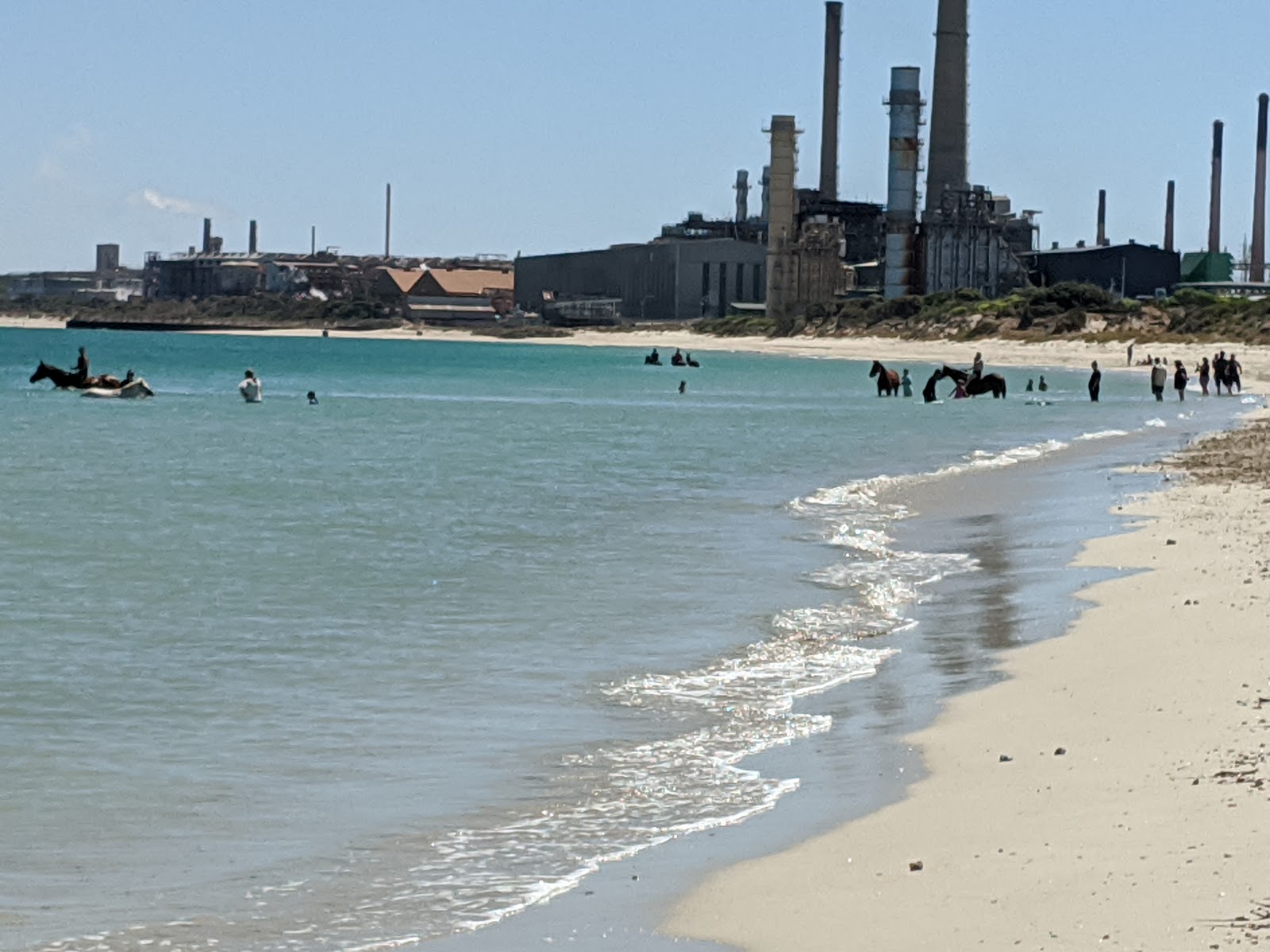 Photo de Horse Beach avec un niveau de propreté de très propre