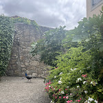 Photo n°4 de l'avis de Audrée.e fait le 03/08/2023 à 12:59 sur le  Taylor's Port à Vila Nova de Gaia