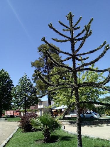 Parque Infantil - Tienda para bebés