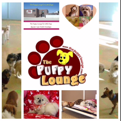 The Puppy Lounge For Little Dogs