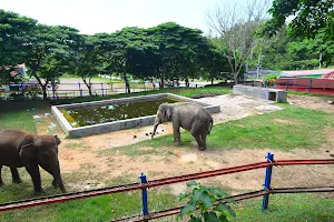 Taman Satwa Kandi image