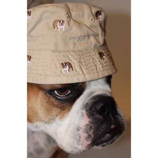 Thrift Store «Lucky Dog Clothing», reviews and photos, 8201 Greenwood Ave N, Seattle, WA 98103, USA