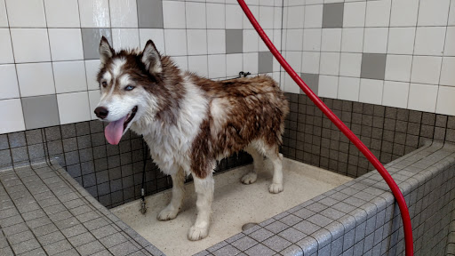 Pet Supply Store «Pet Food Express», reviews and photos, 5148 Stevens Creek Blvd, San Jose, CA 95129, USA