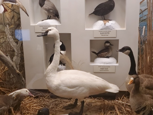 Planetarium «Fernbank Science Center», reviews and photos, 156 Heaton Park Dr, Atlanta, GA 30307, USA