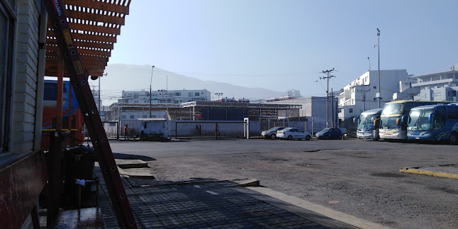 Opiniones de Terminal Rodoviario de Iquique en Iquique - Servicio de taxis