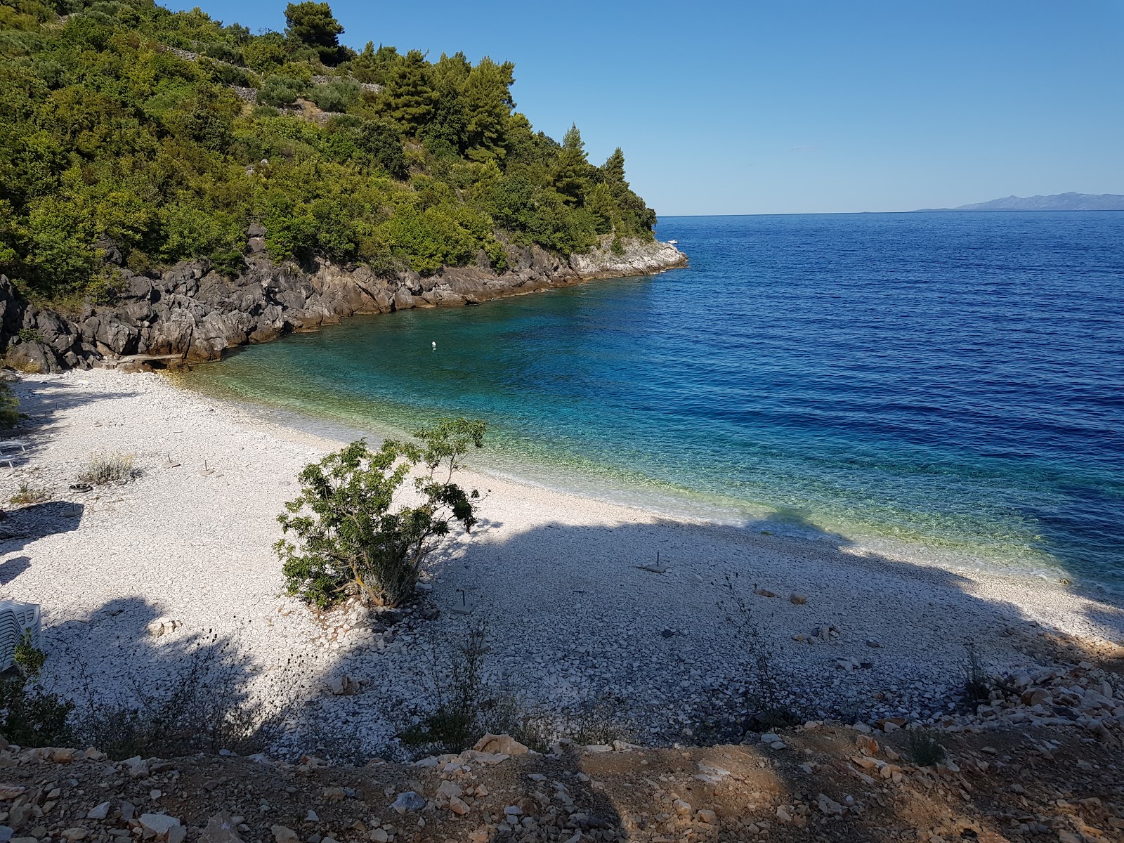 Vaja Bay'in fotoğrafı çok temiz temizlik seviyesi ile
