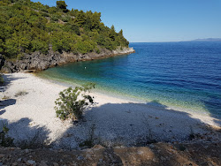 Vaja Bay'in fotoğrafı çok temiz temizlik seviyesi ile