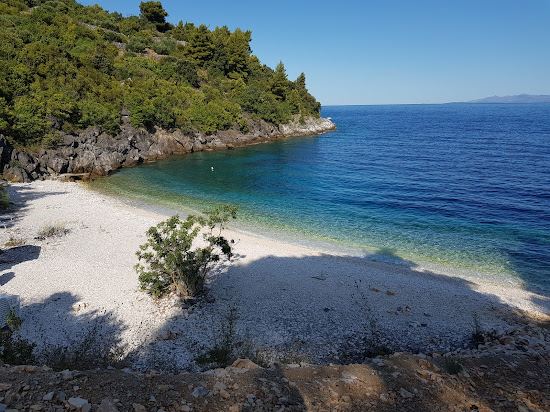 Vaja Bay