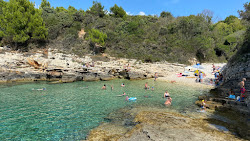 Radovica beach'in fotoğrafı çok temiz temizlik seviyesi ile