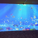 Photo n°1 de l'avis de Rocky.o fait le 18/06/2022 à 10:44 sur le  Ristorante Sushi King à Santa Maria Capua Vetere