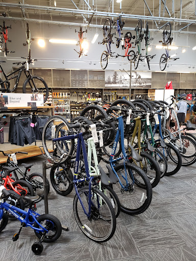 Camping Store «REI», reviews and photos, 4862 Big Island Drive, Jacksonville, FL 32246, USA