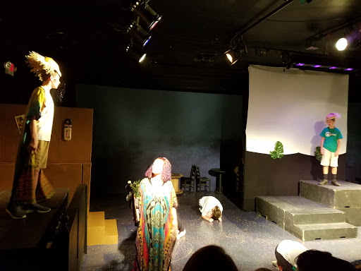 Performing Arts Theater «Johnson City Community Theatre», reviews and photos, 600 E Maple St, Johnson City, TN 37601, USA