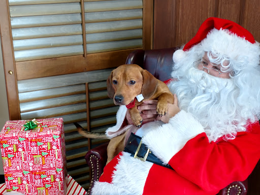 Pet Supply Store «Pet Supplies Plus», reviews and photos, 1012 W Hebron Pkwy #120, Carrollton, TX 75010, USA