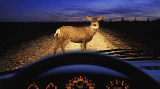 Insurance Agency «Parker Smith - State Farm Insurance Agent», reviews and photos