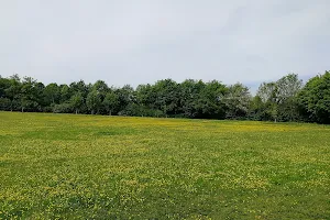 Stonepit Field (Great Linford) image