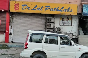 Dr Lal PathLabs - Patient Service Centre image