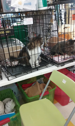 Pet Supply Store «Pet Supplies Plus», reviews and photos, 2649 E Grand River Ave, Howell, MI 48843, USA