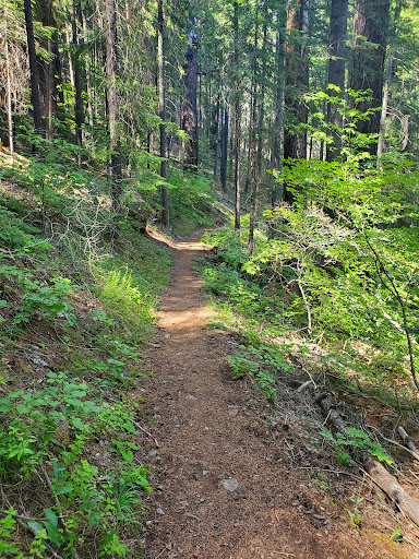 Cabin Creek Trailhead