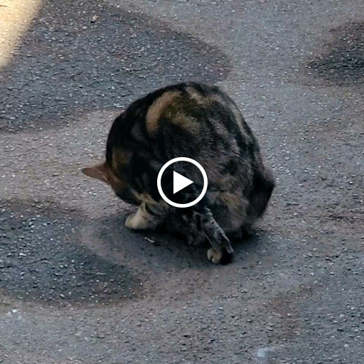 Hardware Store «DIY Center», reviews and photos, 3221 W Magnolia Blvd, Burbank, CA 91505, USA