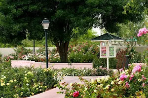 The Rose Garden At MCC image
