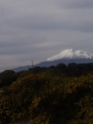 Entre Volcanes