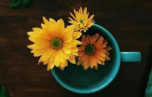 Florist «Garden Grove Florist», reviews and photos, 9710 Garden Grove Blvd # C, Garden Grove, CA 92844, USA