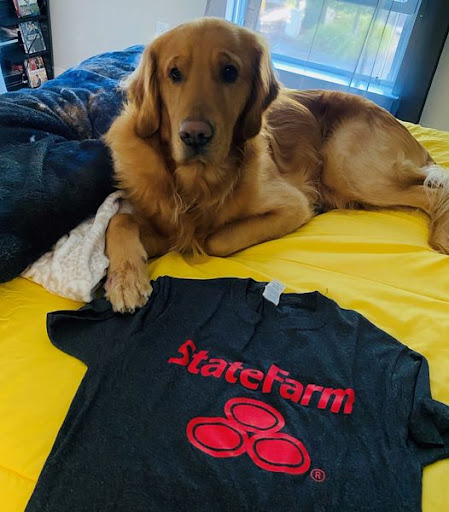 Insurance Agency «Allison DiTullio - State Farm Insurance Agent», reviews and photos