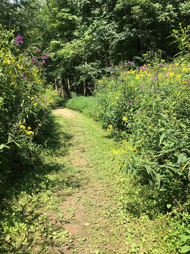 Nature Preserve «Sweet Arrow Reserve», reviews and photos, 789 Little Sugarcreek Rd, Sugarcreek Township, OH 45440, USA