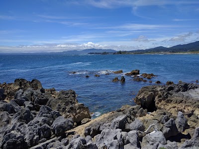 岩井崎石灰岩化石産地