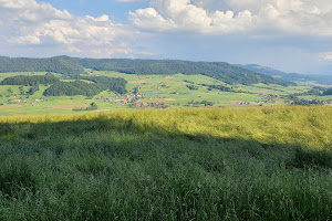 Grillplatz Chüelegi