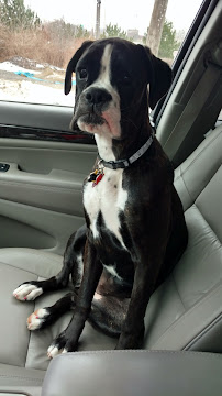 Barklyn Heights - Photo 4 - Car repair in Cleveland, OH, Cleveland